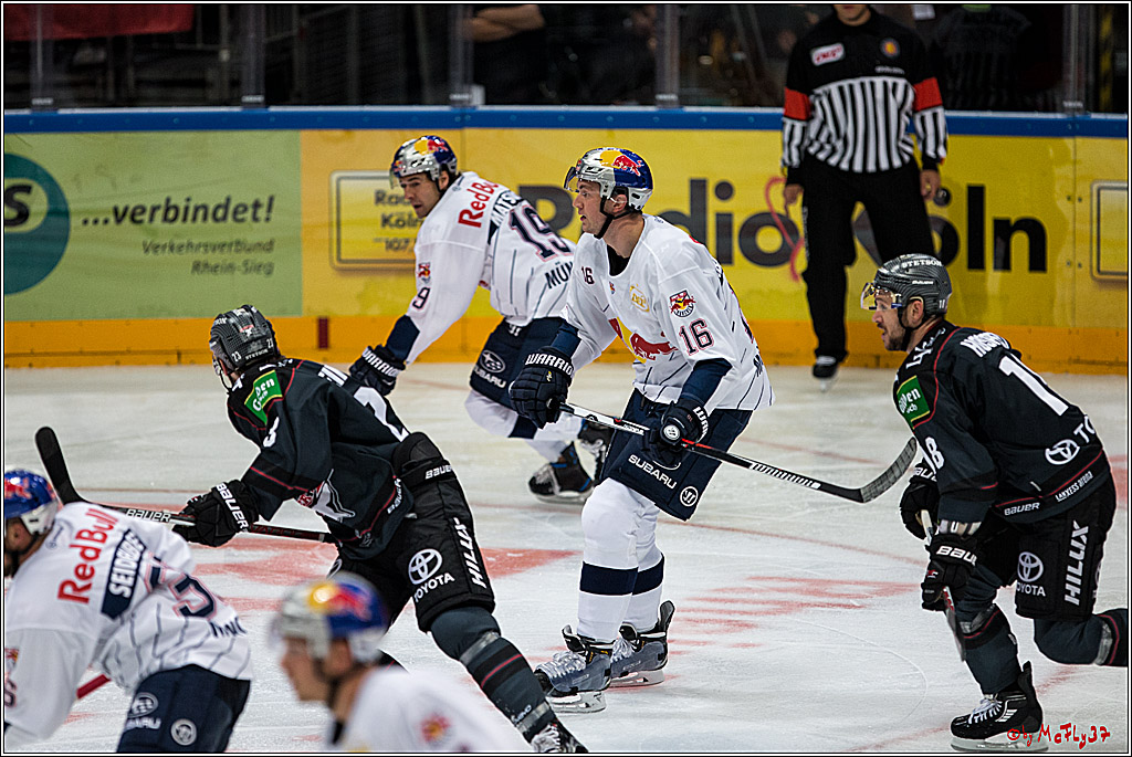 Koelner Haie - EHC Red Bull Muenchen , 16.09.16(KW37)